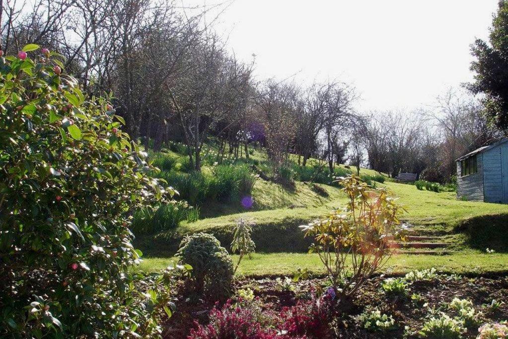 Thornwell Cottage - Heart Of The Village, Amazing Gardens, Glorious Views And Brimming With Character Dittisham Exterior foto